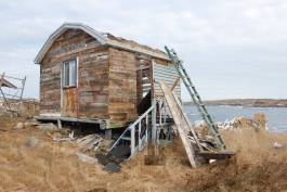 Nicolaus Schafhausen