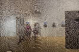 Nicolaus Schafhausen