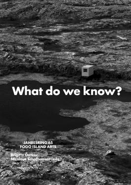 Nicolaus Schafhausen