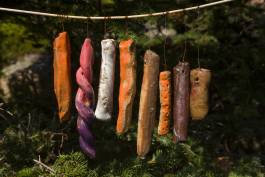 Nicolaus Schafhausen