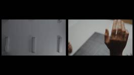 Nicolaus Schafhausen