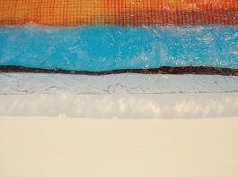 Nicolaus Schafhausen