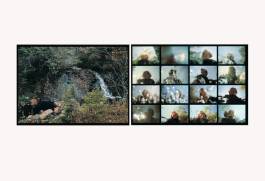 Nicolaus Schafhausen