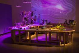 Nicolaus Schafhausen