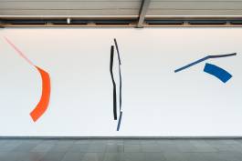 Nicolaus Schafhausen