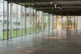 Nicolaus Schafhausen