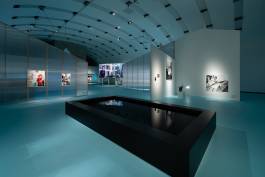 Nicolaus Schafhausen