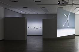 Nicolaus Schafhausen