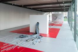 Nicolaus Schafhausen