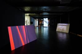 Nicolaus Schafhausen