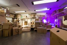 Nicolaus Schafhausen