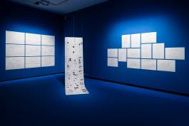 Nicolaus Schafhausen