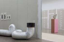 Nicolaus Schafhausen