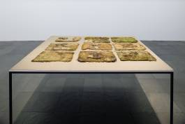 Nicolaus Schafhausen