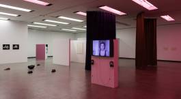 Nicolaus Schafhausen