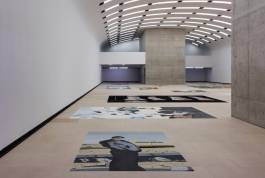 Nicolaus Schafhausen