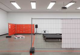 Nicolaus Schafhausen