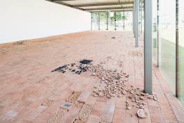 Nicolaus Schafhausen