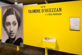 Nicolaus Schafhausen