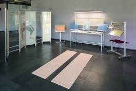 Nicolaus Schafhausen