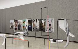 Nicolaus Schafhausen