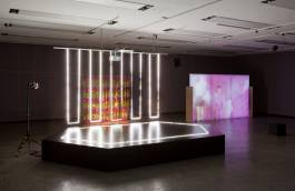 Nicolaus Schafhausen