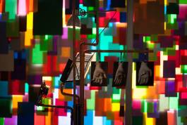 Nicolaus Schafhausen