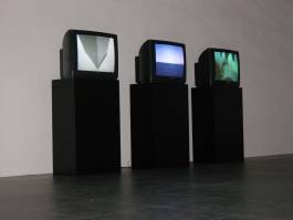 Nicolaus Schafhausen