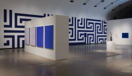 Nicolaus Schafhausen