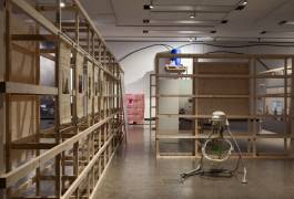 Nicolaus Schafhausen