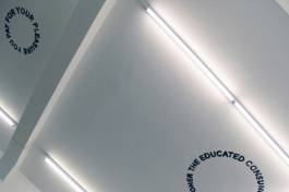 Nicolaus Schafhausen