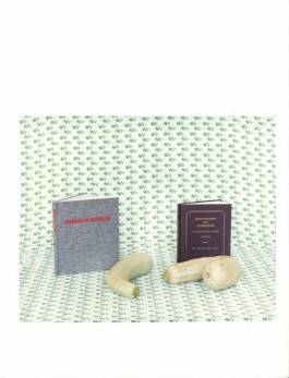 Nicolaus Schafhausen