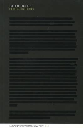 Nicolaus Schafhausen