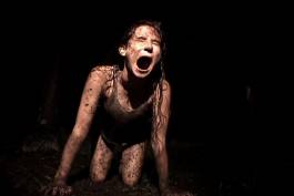 Nicolaus Schafhausen