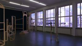 Nicolaus Schafhausen