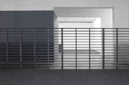 Nicolaus Schafhausen