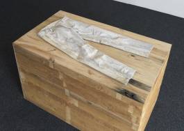 Nicolaus Schafhausen