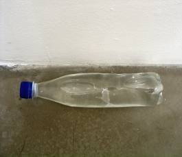 Nicolaus Schafhausen