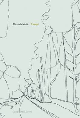 Nicolaus Schafhausen