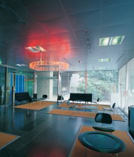 Nicolaus Schafhausen