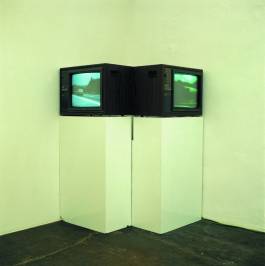 Nicolaus Schafhausen