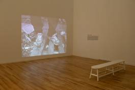 Nicolaus Schafhausen