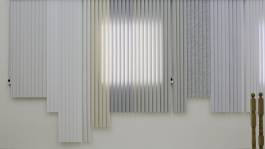 Nicolaus Schafhausen