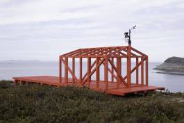 Nicolaus Schafhausen