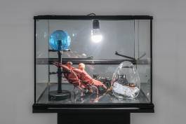  Installation view Harald Thys & Jos de Gruyter. MICRO