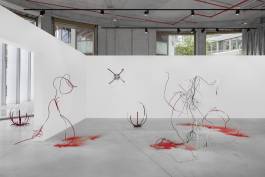 Nicolaus Schafhausen