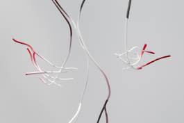 Nicolaus Schafhausen