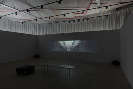 Nicolaus Schafhausen