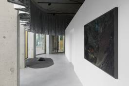 Nicolaus Schafhausen