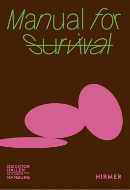 Nicolaus Schafhausen